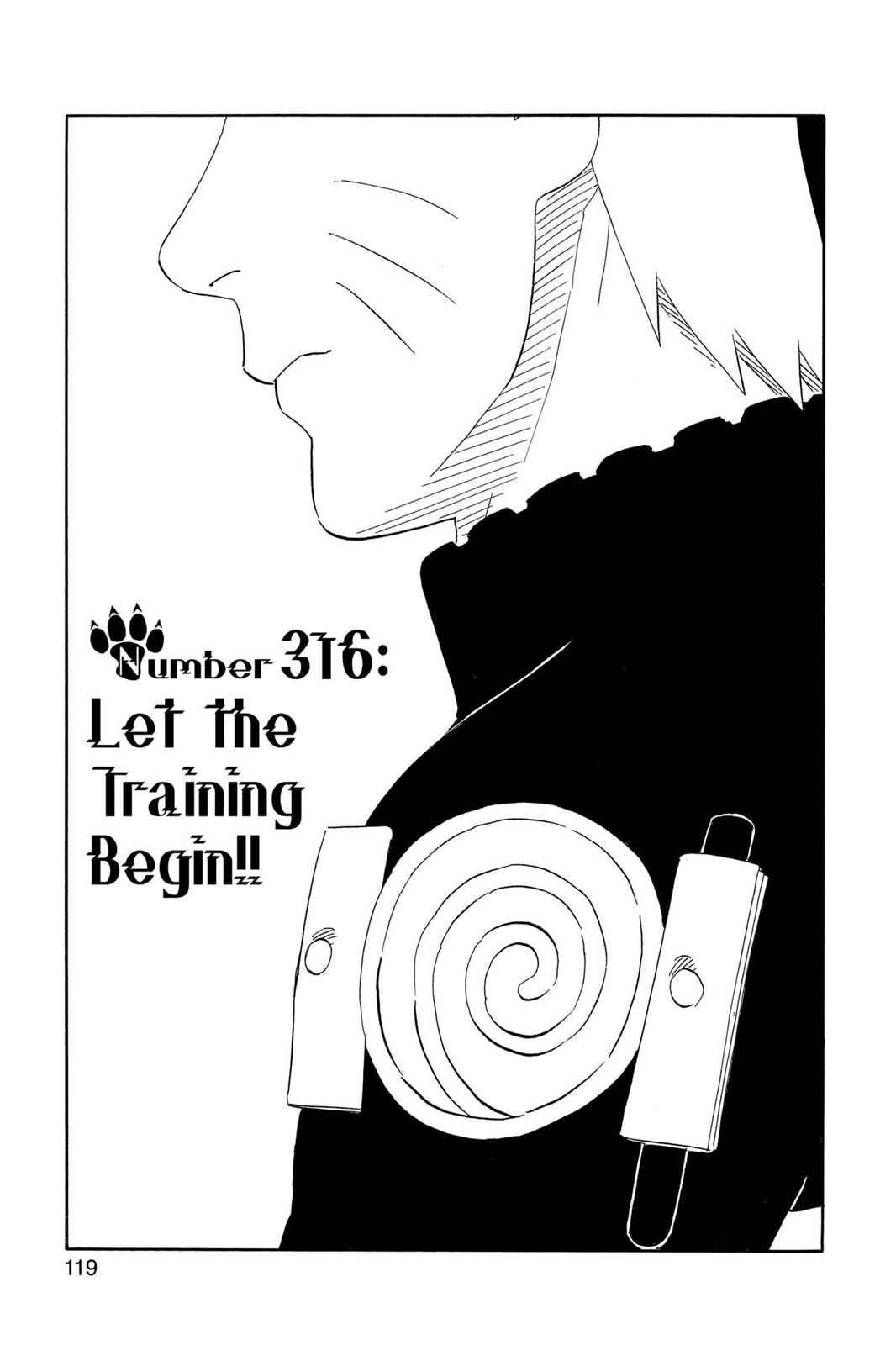 chapter316